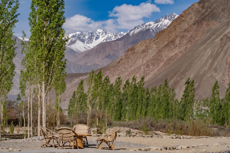 Food & Drinks 4, Nubra Ecolodge, Leh