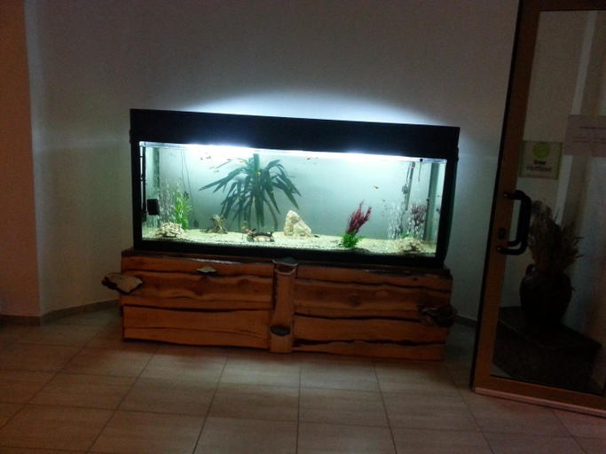Public Area 2, Cabana Trei Brazi, Predeal