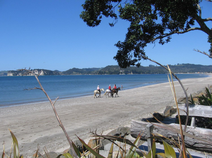 Others 4, Beachfront Resort, Thames-Coromandel