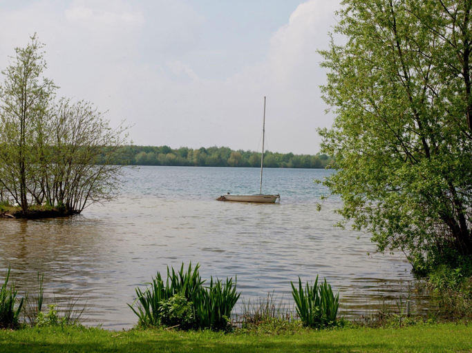 Others 4, Tail-Wagging Lake Escape, Heel