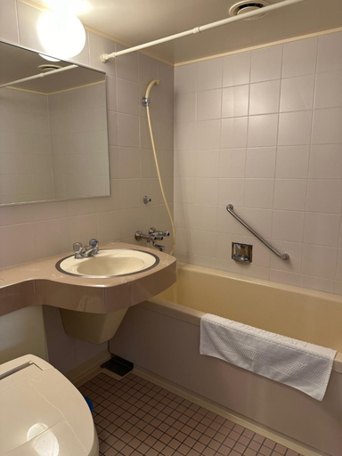 Bathroom 3, Horoshin Onsen Hotarukan, Numata