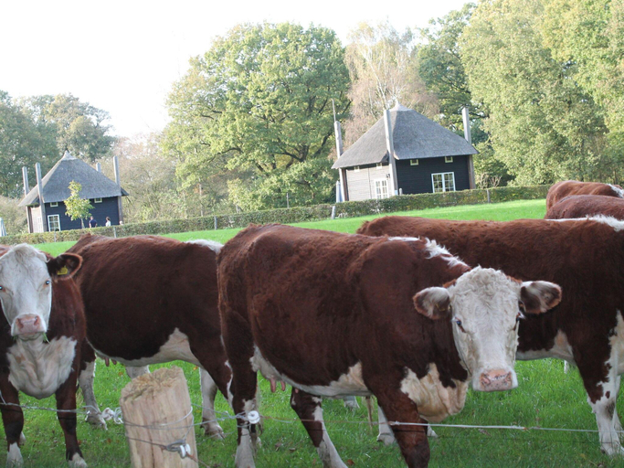 Others 5, Scenic Hideaway in Notter, Wierden