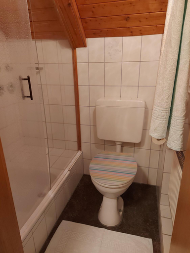 Bathroom 3, Ferienwohnungen Schneiderhausl inkl. Chiemgaukarte, Traunstein