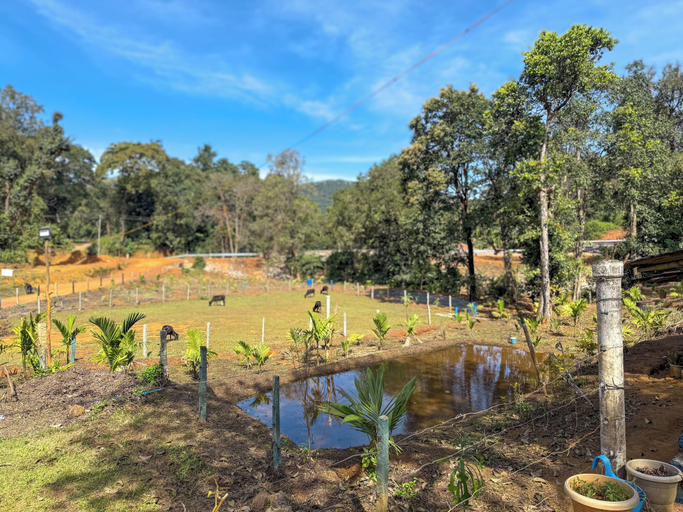 Others 5, Kodachadri Pathalagere Homestay, Shimoga