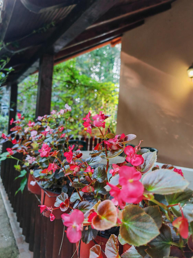 Others 5, Apartmani Todorovic, Veliko Gradište