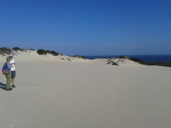 Others 5, Haus Giotto, Overberg