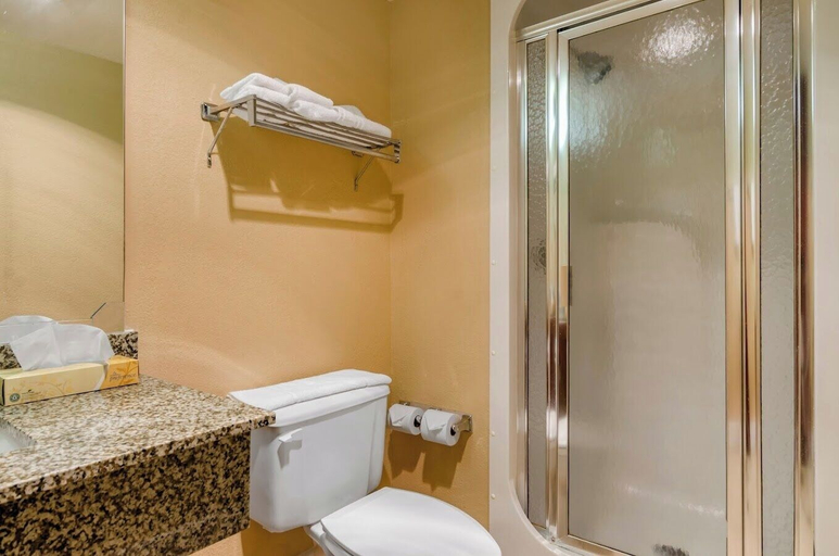 Bathroom 4, Precious Hotel, Jasper
