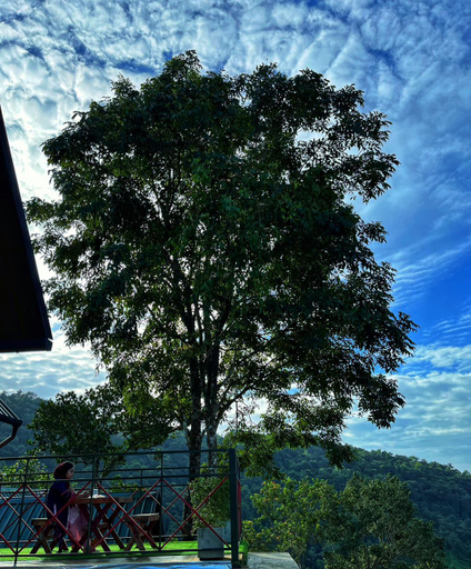 Others 4, Vayalada View Point Resort, Kozhikode