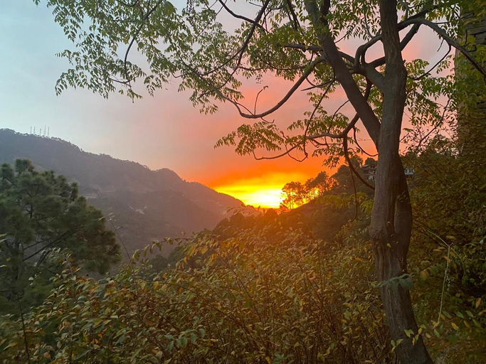 Others 4, Misty Meadows Resorts, Solan