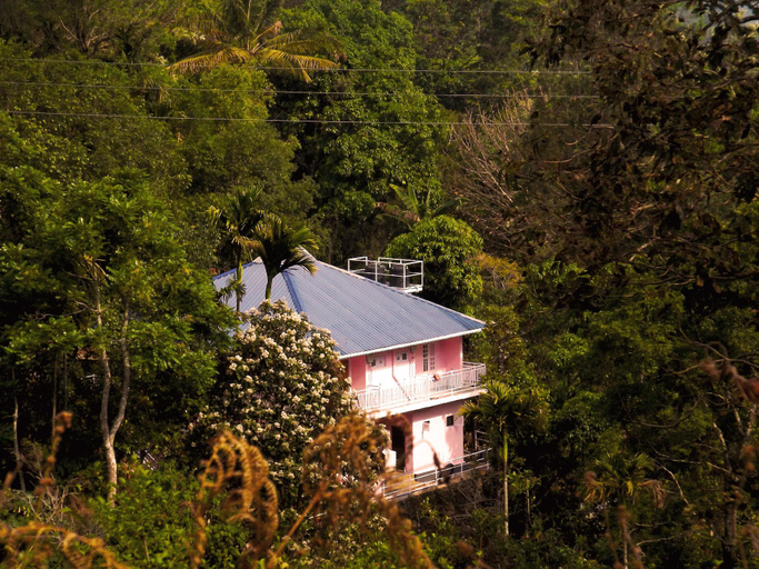 Others 3, Drizzle Valley, Idukki