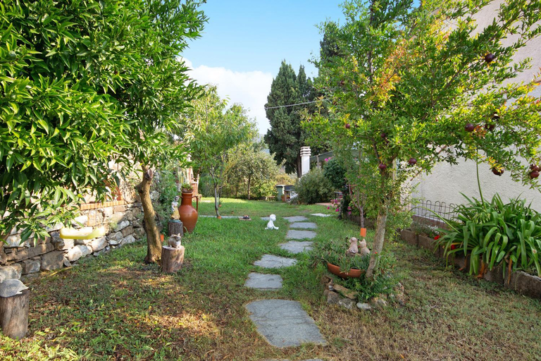 Scenery 18
