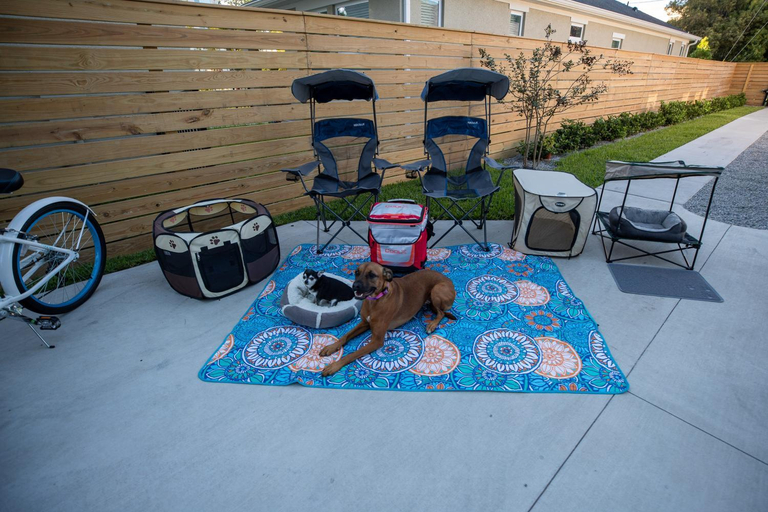 Others 5, Pet Friendly Modern Zen Studio Retreat with Hot Tub, Orange