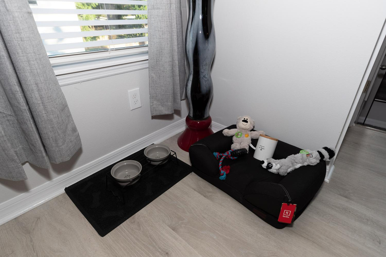 Others 4, Pet Friendly Modern Zen Studio Retreat with Hot Tub, Orange