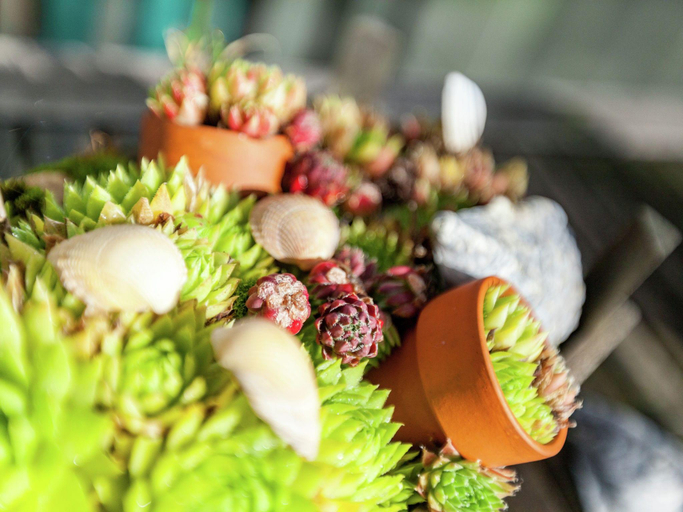 Food & Drinks, Beautiful holiday home Zeeroos in Zeeland, Veere