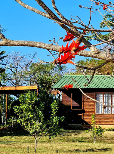 Others 2, Kiaat Bungalows, Ehlanzeni