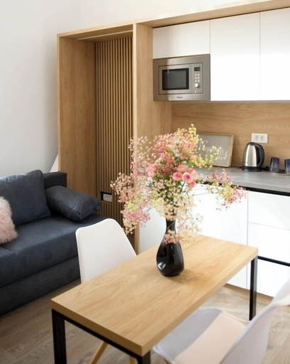 Others 5, FRIENDS RESIDENCE, Timisoara
