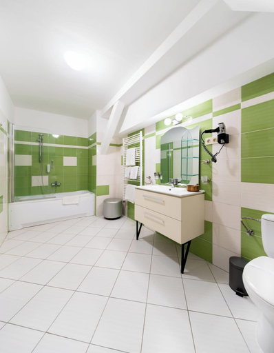 Bathroom 5, Hotel Vécsecity Wellness and Conference, Encsi