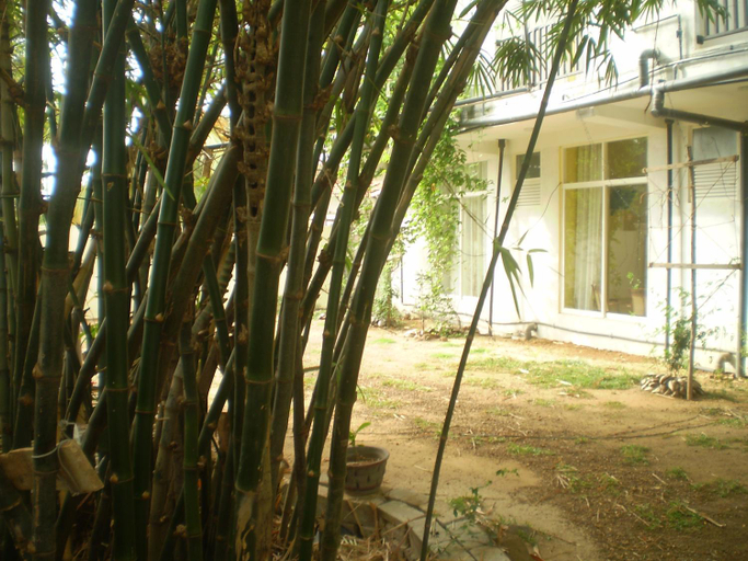 Exterior & Views 1, Hotel Pearl Gate, Chilaw
