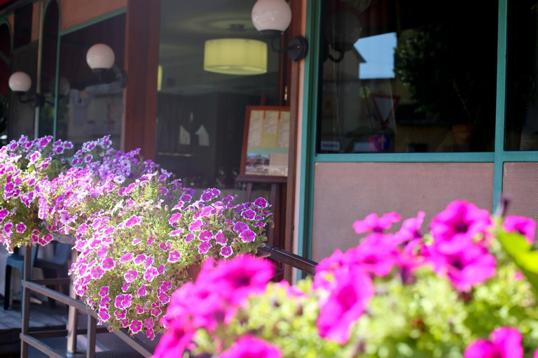Exterior & Views 2, Hotel Umbria Ristorante, Terni