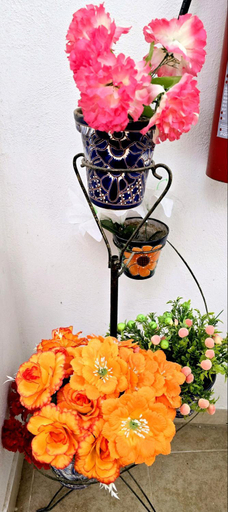 Food & Drinks, Hotel Plaza Baratillo, Guanajuato