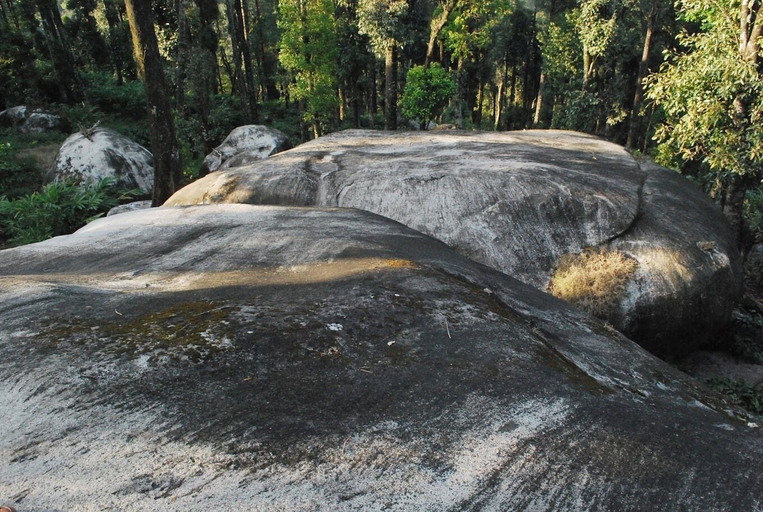 Others 5, Green Mountain Resorts, Wayanad