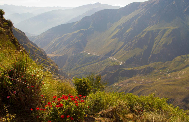 Others 4, La Granja del Colca, Caylloma