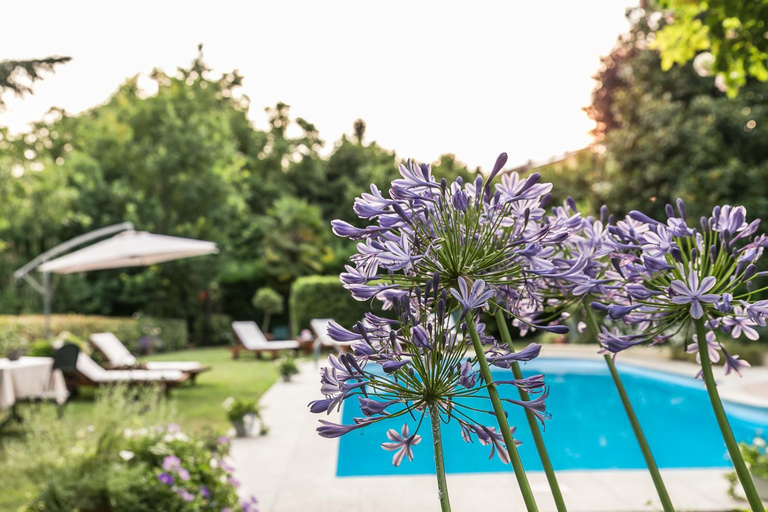 Sport & Beauty 5, Ristorante Albergo Ca' Vittoria, Asti