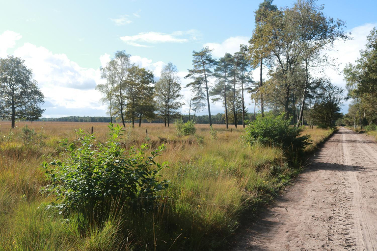 Others 4, Park Drentheland, Ooststellingwerf