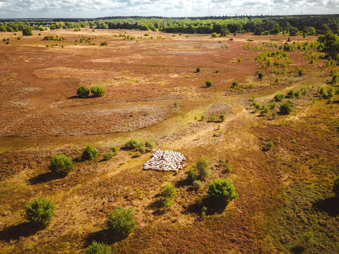 5, Charming Safari Tent by the Lake, Aa en Hunze