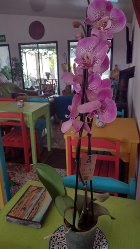 Others 4, El Bodegon Hostal Boutique, n.a289