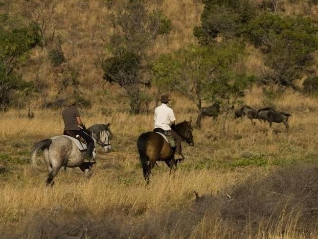 Others 5, Coga Cottage - Marloth Park, Ehlanzeni