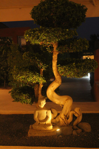 Public Area 2, Le Petit Paradis Saly Boutique Hotel, Mbour