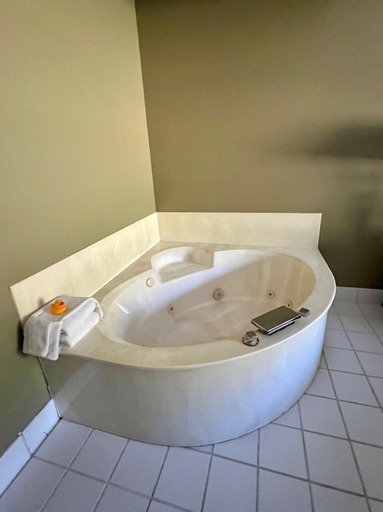 Bathroom 4, Country Inn Walker, Cass