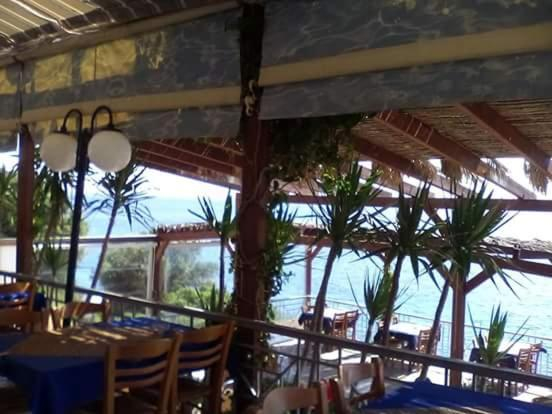 Food & Drinks 2, Delfini, Central Greece