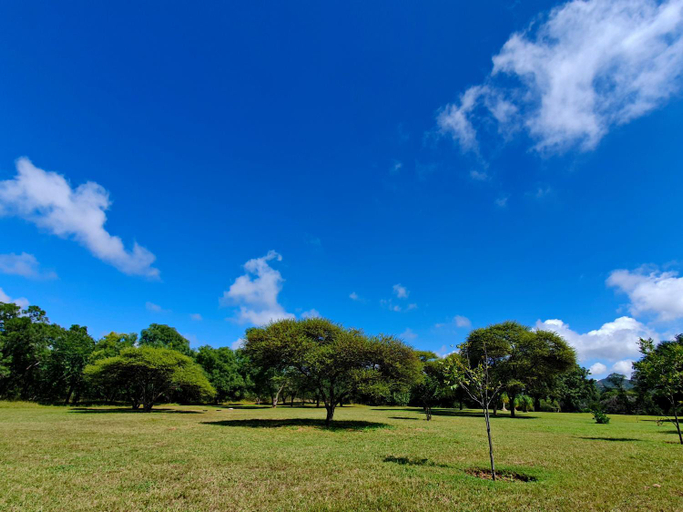 Garden 2, Summerset Place Country House, Waterberg