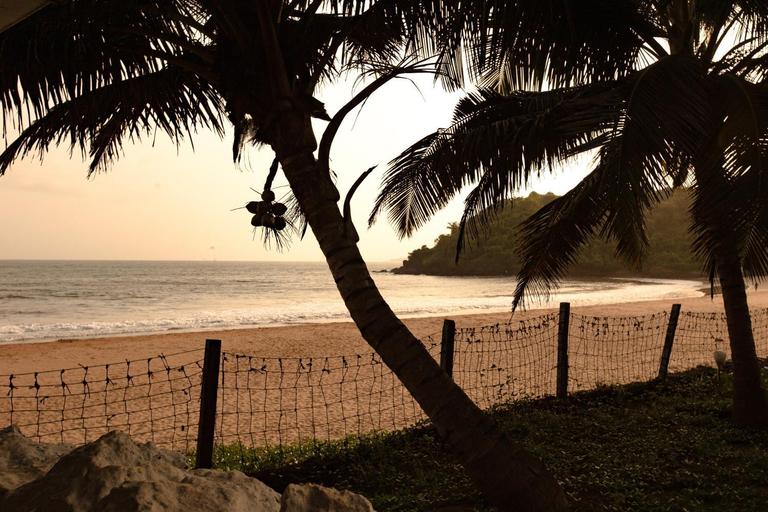 Others 2, Joets Guesthouse, South Goa
