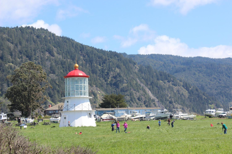 Others 5, The Oceanfront Inn, Humboldt