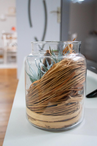 Food & Drinks, Infinity Boutique Apartments, Bansko
