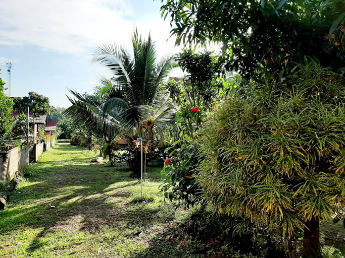 Others 4, Gardenhomeresortkohjum, Nua Khlong