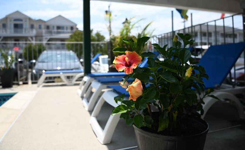 Others, Grecian Garden Motel, Cape May