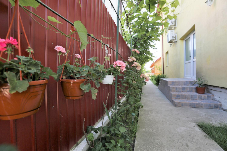 Others 5, Casa Iustina Sulina, Sulina
