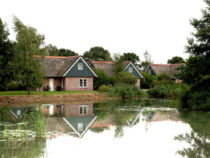 Spacious thatched villa with dishwasher, in a national park, Steenwijkerland