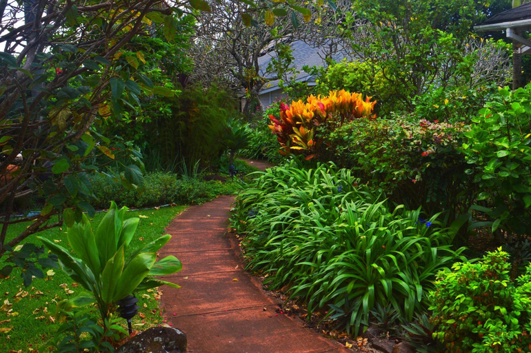Others 2, Banyan Tree B&B Retreat, Maui