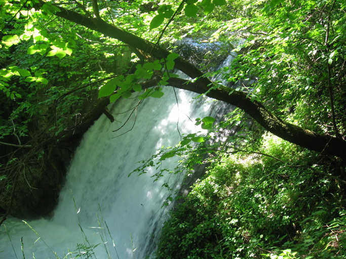 Nearby attraction 2, Parco Sogni D Oro, Avellino