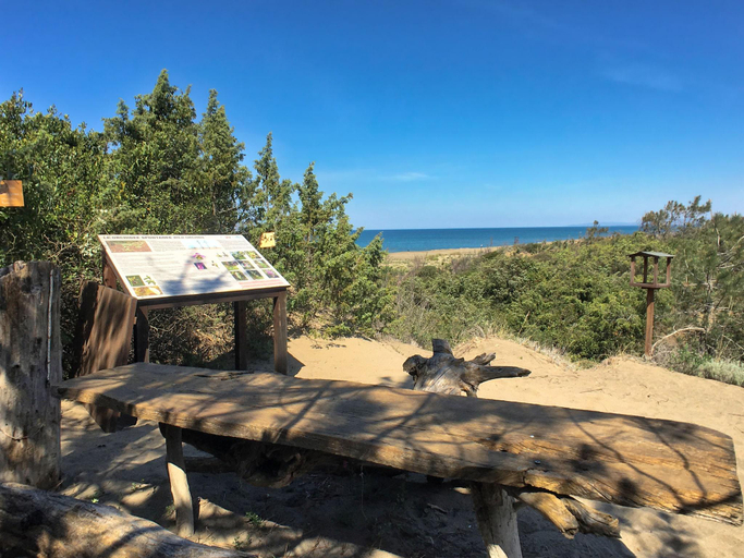 Others 5, Holiday Home in Tuscany near Sassetta, Livorno
