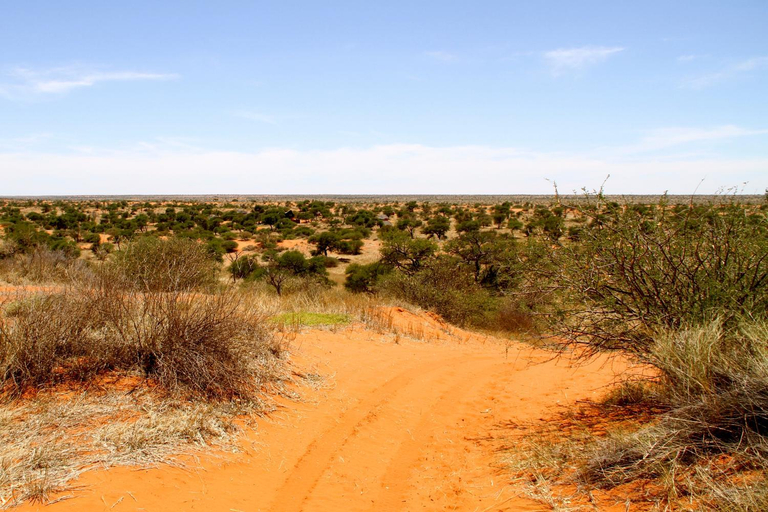 Others 5, Zebra Kalahari Lodge, Mariental Rural