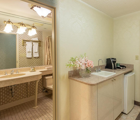 Bathroom 3, Avenue Plaza Hotel, New York