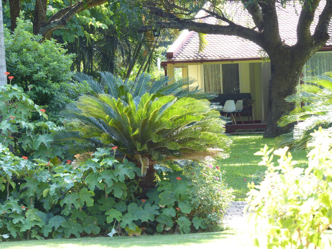 Others 2, Ancha's Oasis, Maputo