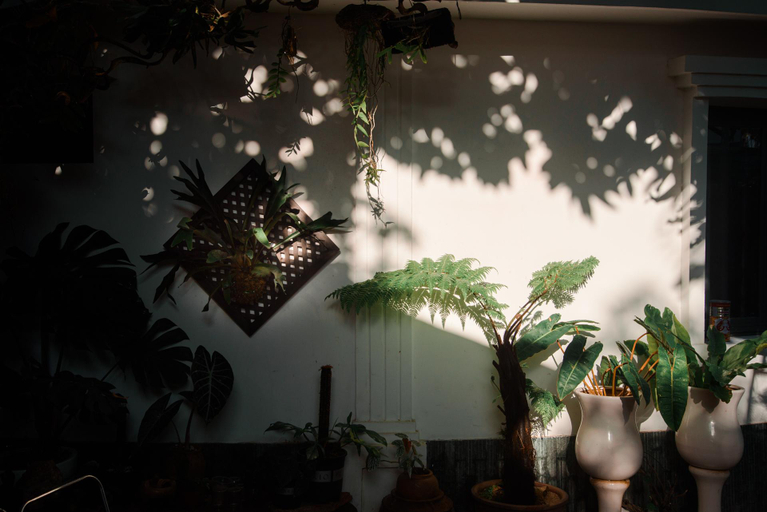 Others 4, ngaunhien's house, Ninh Hải