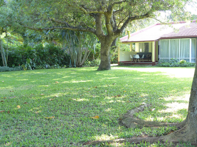 Others 5, Ancha's Oasis, Maputo